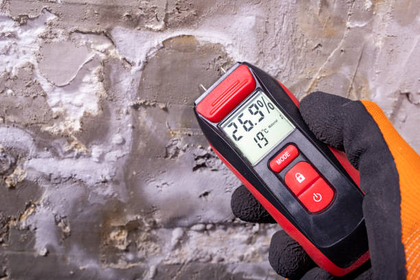 Best Emergency Mold Removal  in Peru, IL