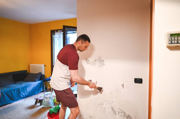 Best Attic Mold Removal  in Peru, IL